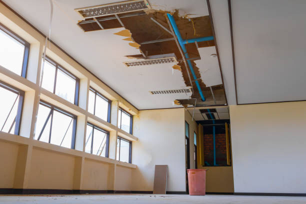 Best Residential water damage restoration  in Robbins, IL