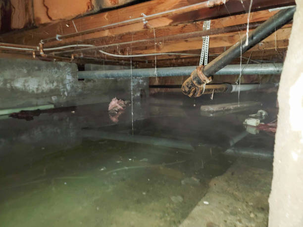 Best 24/7 water damage repair  in Robbins, IL
