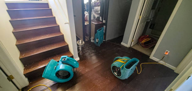 Best Flood damage cleanup  in Robbins, IL