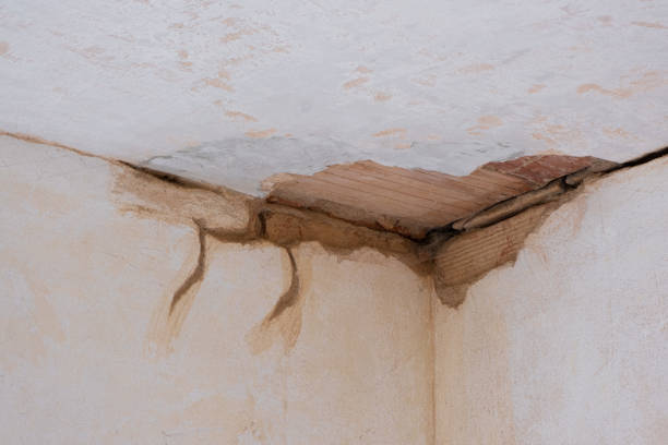 Best Professional water damage repair  in Robbins, IL