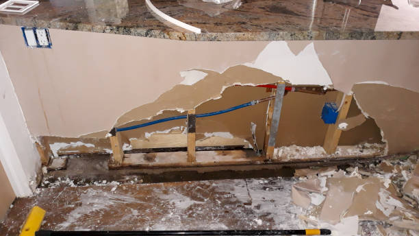 Best Water damage cleanup near me  in Robbins, IL