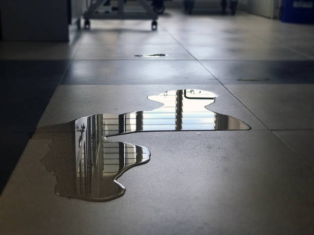 Best Emergency water damage restoration  in Robbins, IL
