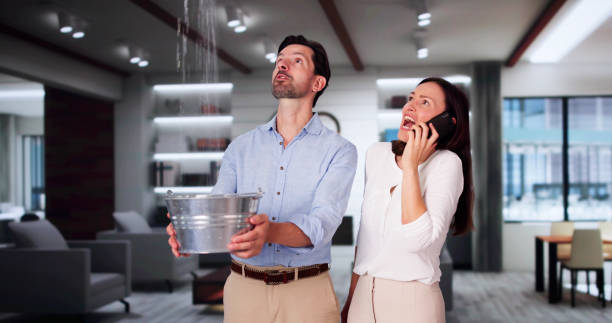 Best Basement water damage restoration  in Robbins, IL