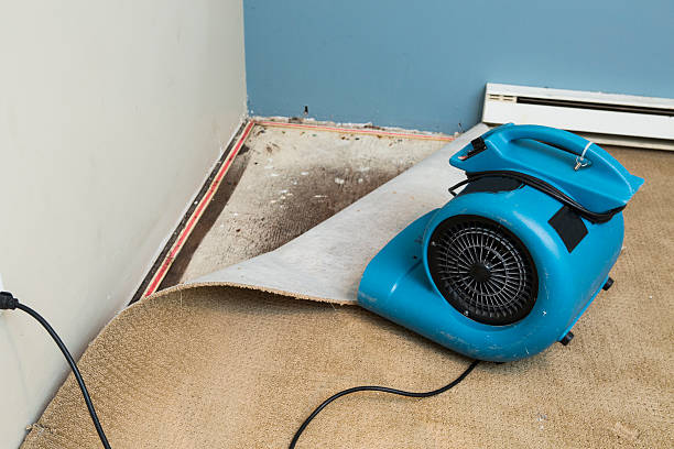 Best 24-hour water damage restoration  in Robbins, IL