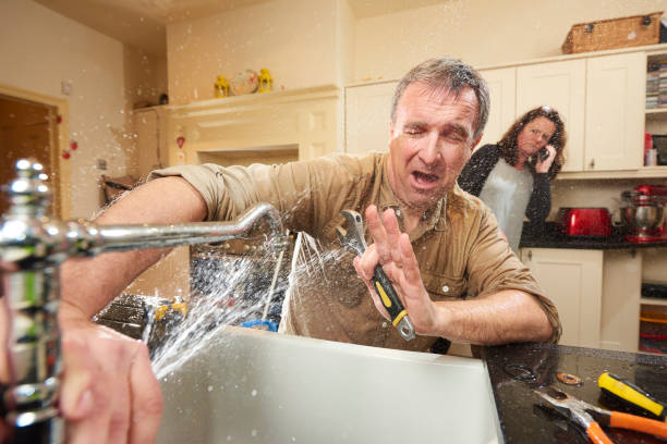 Best Water damage cleanup near me  in Robbins, IL